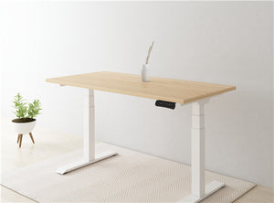 Kana Bamboo Standing Desk 78 X 30