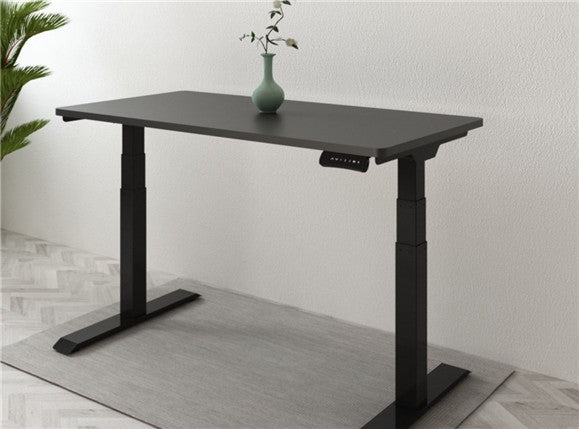 Seiffen Laminated Standing Desk